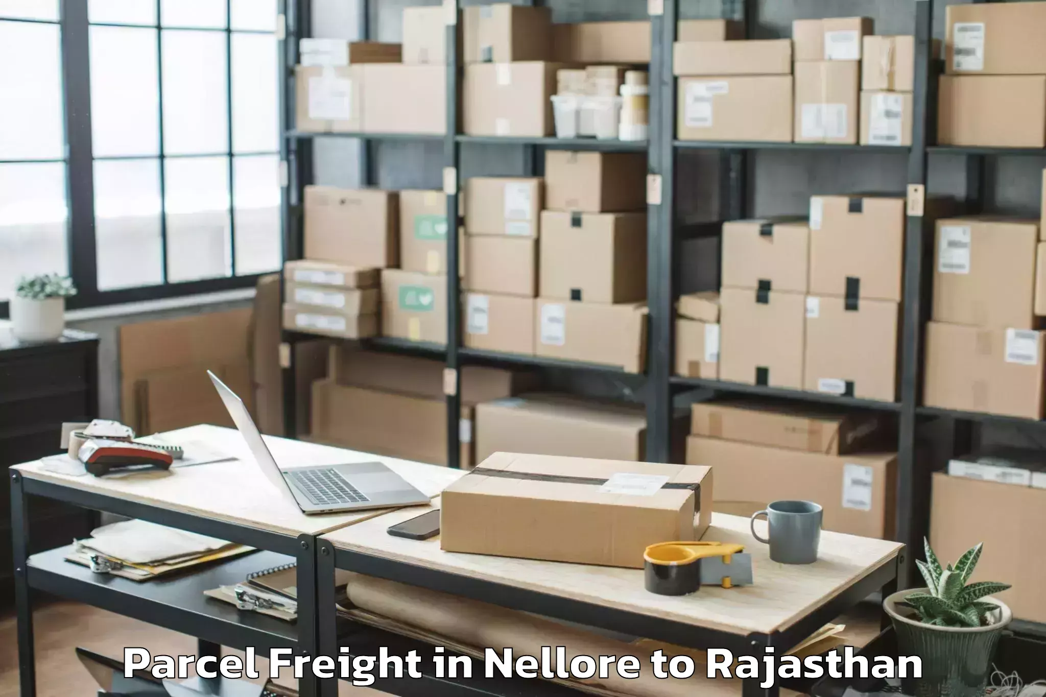 Leading Nellore to Bagru Parcel Freight Provider